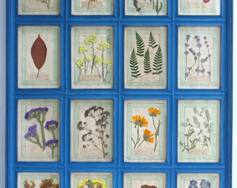 Vintage handgemaakt herbarium met gedroogde geperste bloemen, blauw houten frame - unieke muurkunst. Geperste bloemkunst, geperst bloemenframe.