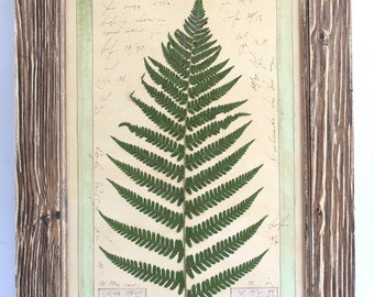 Pressed plants, pressed leaves, plants frame art, dried plants, pressed leaves, large dried leaf, dried leaves, large pressed leaves