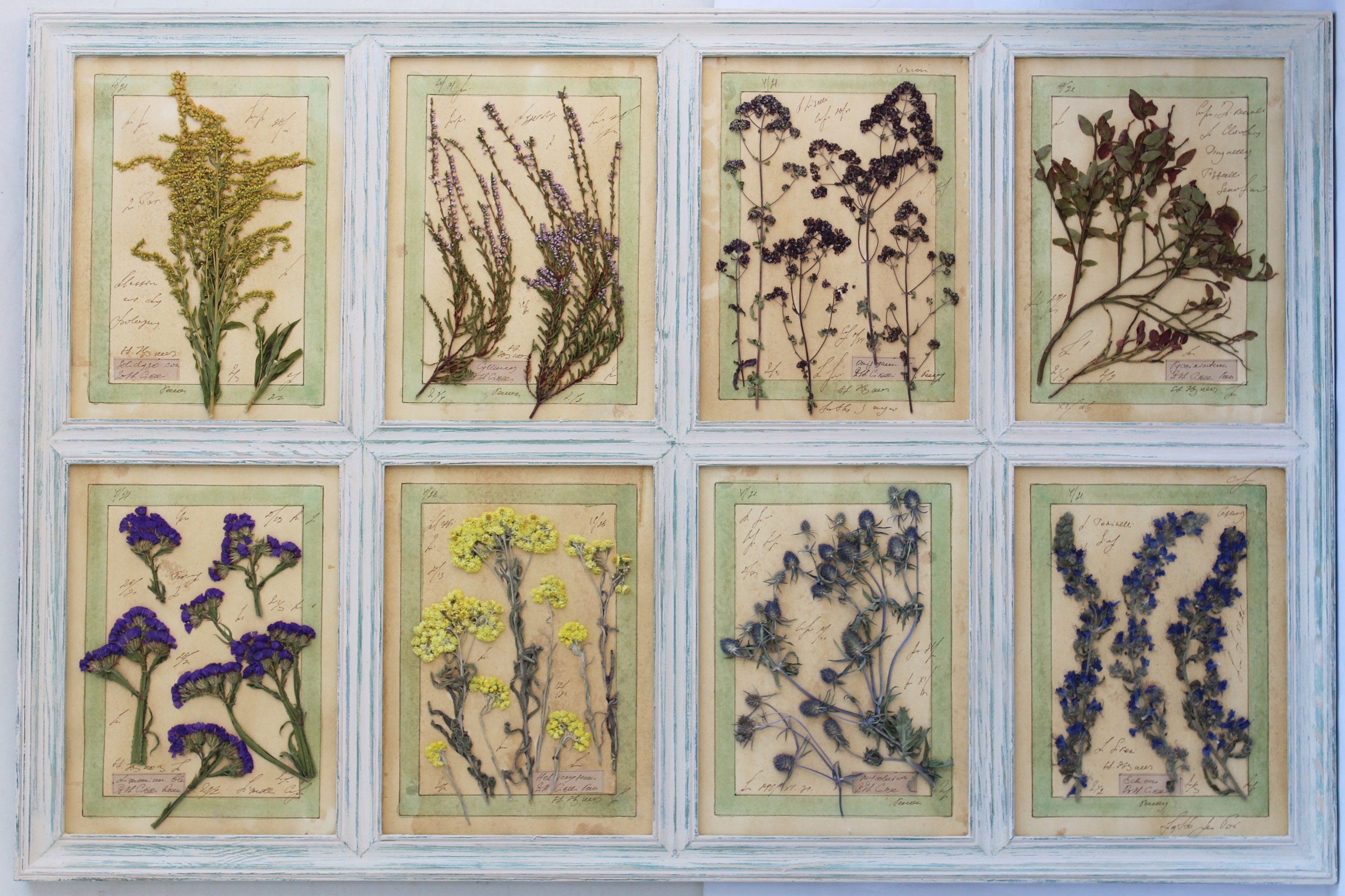 Gepresste Blumen gerahmtes Herbarium gepresste Blumenkunst Etsy