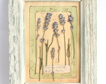 Framed Lavender Herbarium Art, Pressed Flower Décor in Large White Vintage Frame, Unique Botanical Gift