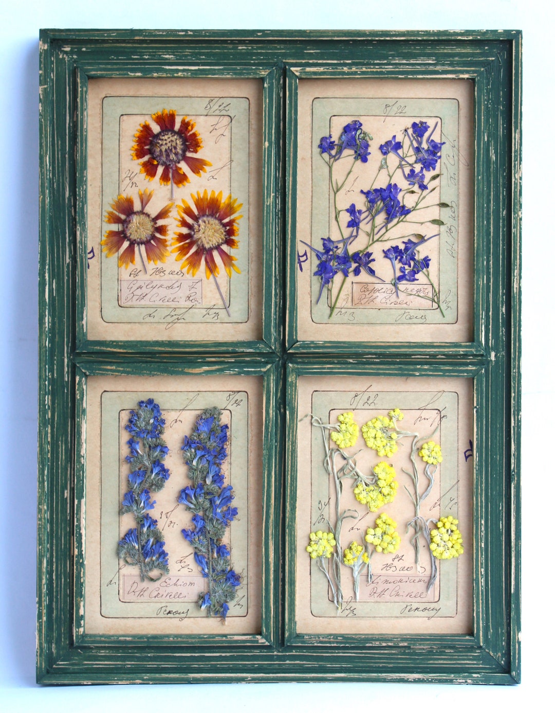 Pressed Flower Art in Herbarium Frame. Framed Dried Flowers - Etsy