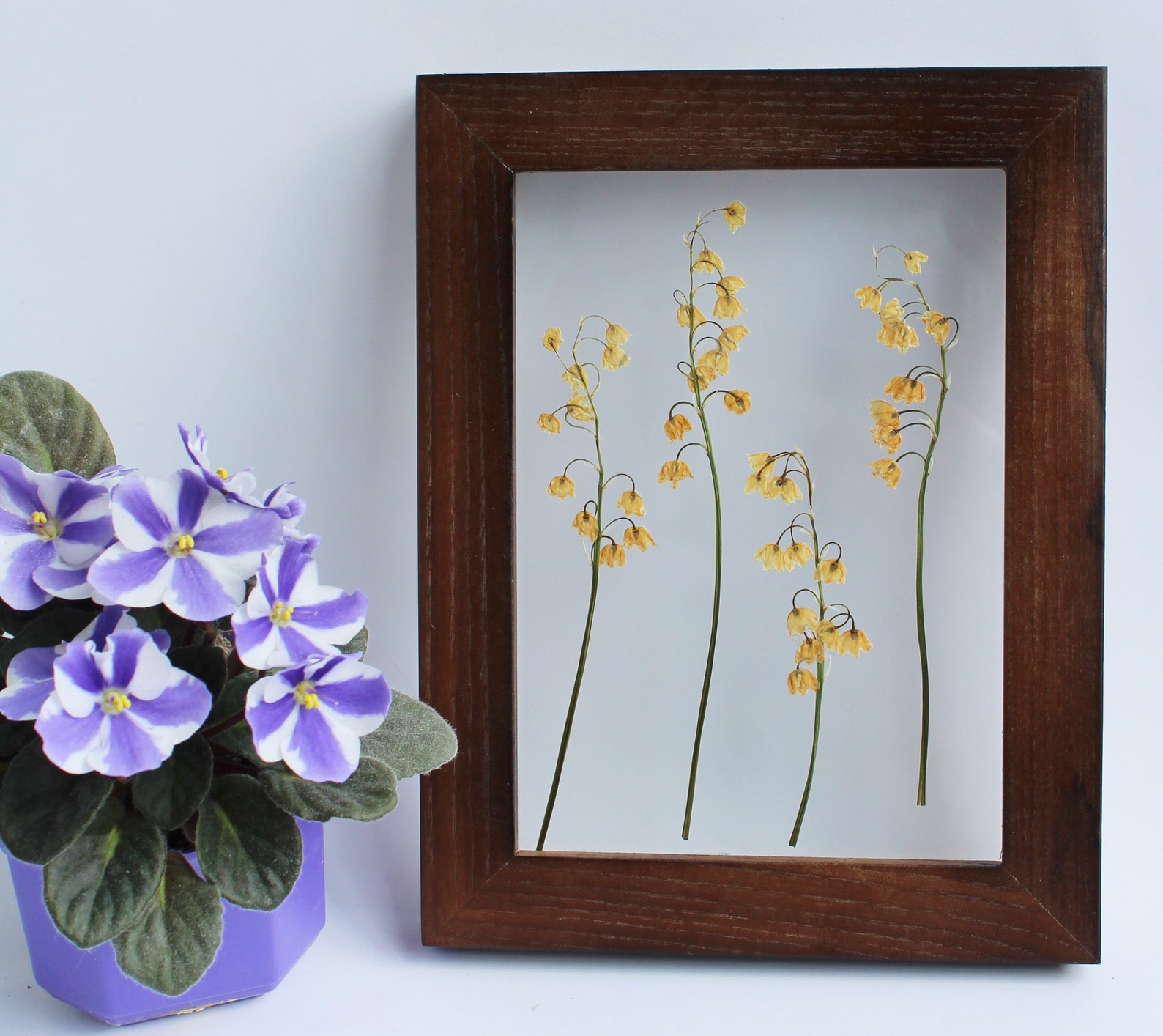 Pressed Lily of the Valley of Dried Lily. Pressed Flower Art Etsy
