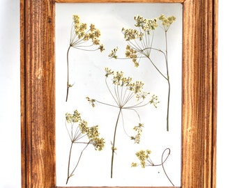 Pressed flowers in floating frame. Pressed flower art, pressed flower frame, pressed flower wall art, pressed botanical, floating wood frame