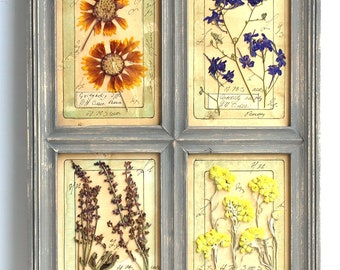 Pressed botanicals in gray wood frame, herbarium, pressed flower art, Pressed Plant Framed, dried flower art, pressed herbs, dried plants