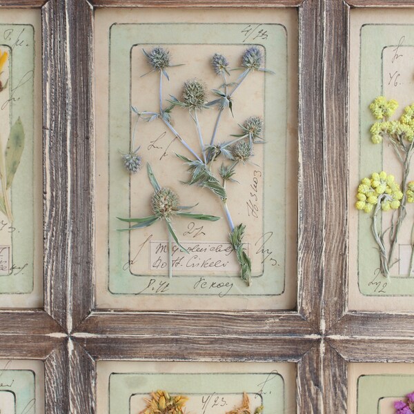 Glass Frame for Pressed Flowers Etsy