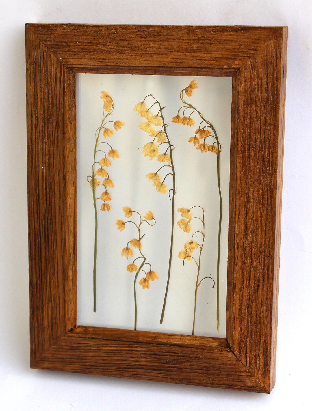 Pressed Flowers of Pressed Flower Decor. Pressed Flower Art Etsy