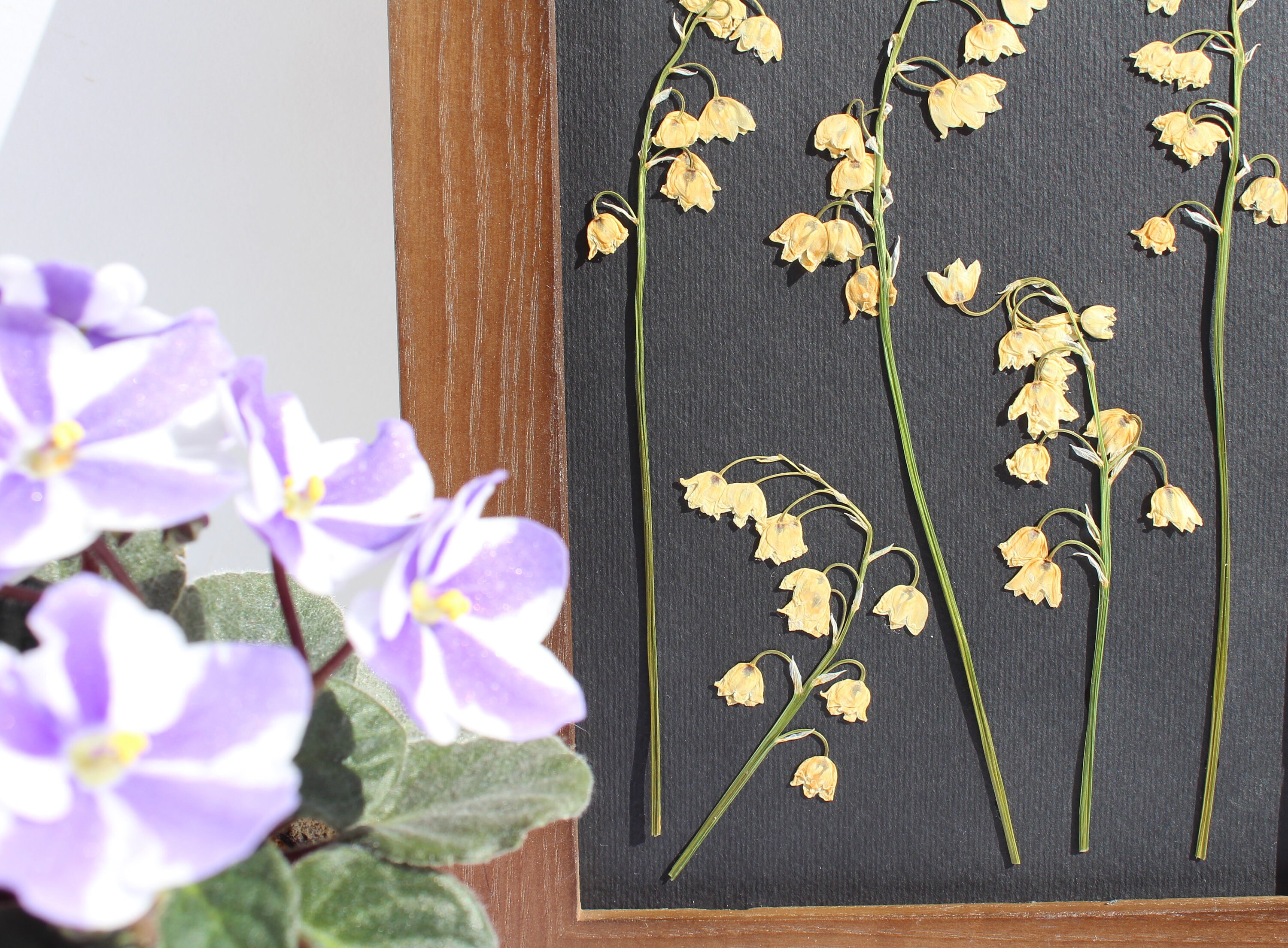 Field of Flowers - Arched Botanical Pressed Flower Art