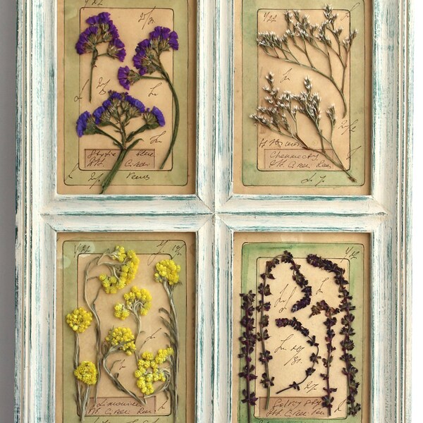 Dry Flower Art Etsy