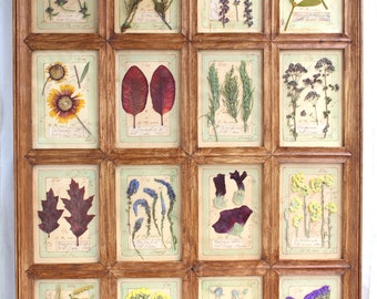 Real pressed flowers framed of pressed flower art/Dry flowers in large brown frame over the glass/Pressed botanical/ Pressed flower frame