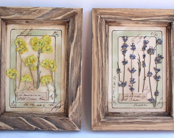 Pressed flower frame in brown wood frame. 2 frames of Pressed botanicals. Pressed herbs, pressed flower art, framed dried flowers, herbarium
