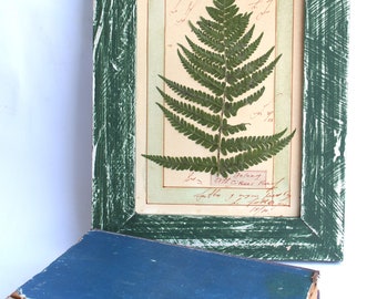 Green Framed Pressed Fern Art - Vintage Herbarium Specimen in Farmhouse Style for Home Decor. Large pressed fern, pressed flower art
