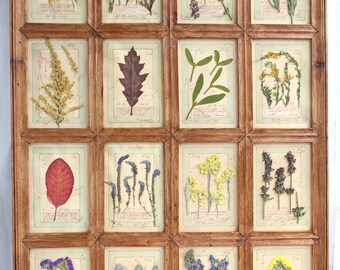 Pressed flower art, pressed flowers, frame pressed flowers, floral home decor, pressed flower frame, herbarium, pressed flowers art, herbier