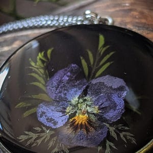 Hornveilchen Blüten Blumenbouquet botanisch Frühling