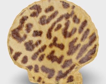 Leopard Print Shell Jewelry Dish Trinket Dish Ring Holder Decoupage Seashell