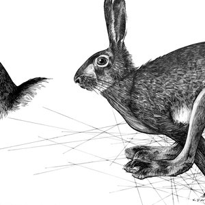 Hare Drawing Print – Black and White