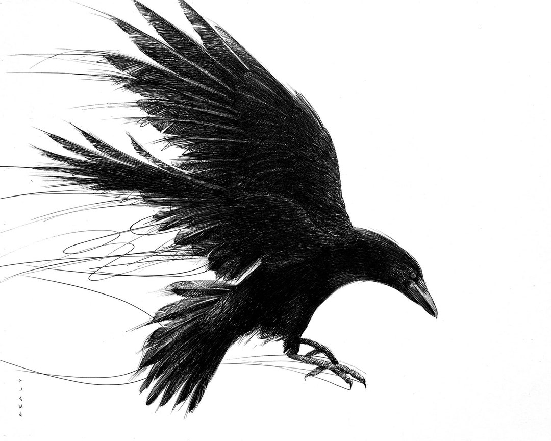 B4原画 crow Crow Drawing Print – Black and White - Etsy 日本
