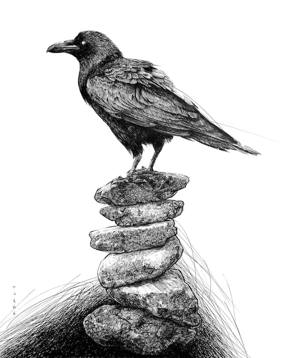Crow Drawing Print Black and White - Etsy