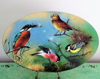 Vintage Bird Tin, Oval Bird Tin, Birder Gift, Vintage Tin, Storage Tin, Labeled Bird Tin, Colorful Bird Tin, Gift for Bird Lover