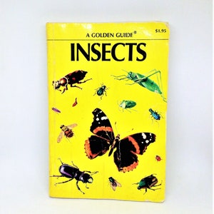 May include: A Golden Guide book titled "Insects" with a bright yellow cover. The cover features illustrations of various insects, including a large butterfly with black and orange wings. The book is a vintage edition.