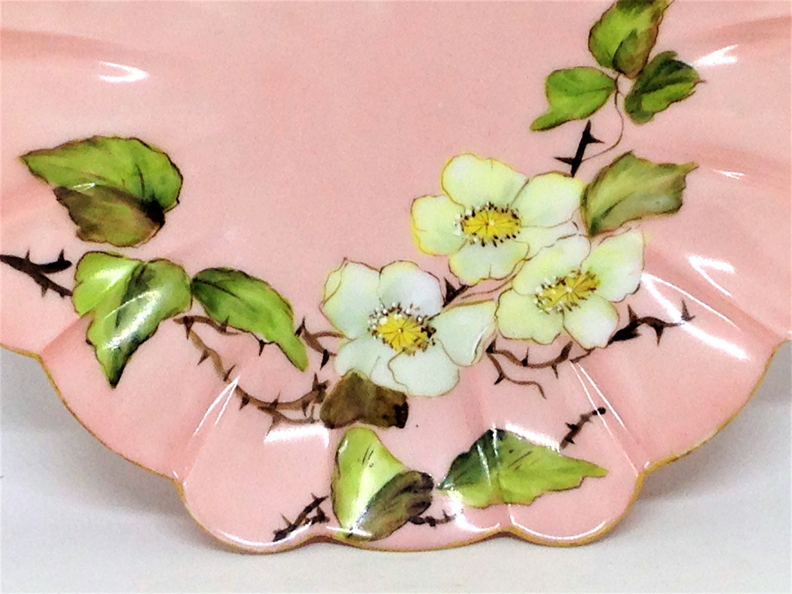 Vintage Limoges T and V Limoges Pink Limoges Dish Pink Etsy