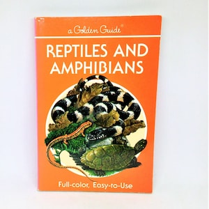Vintage Reptiles and Amphibians Guide - 1987 Golden Nature Book