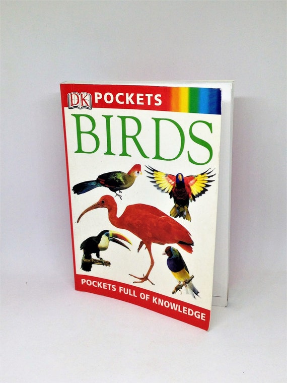other birds a novel book review other birds a novel book review
