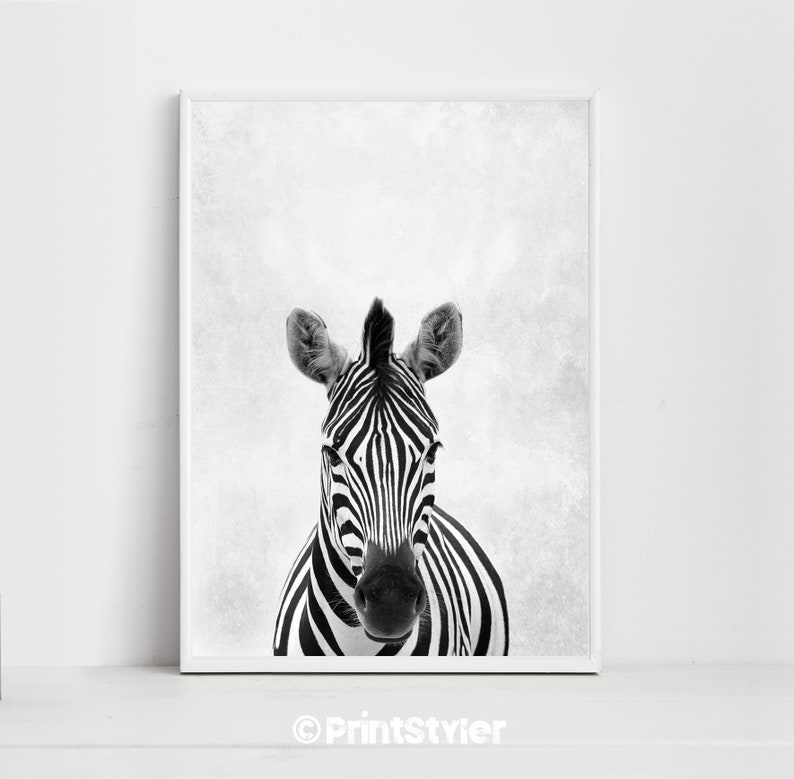 Zebra Print Zebra Art Zebra Poster Animal Prints Etsy