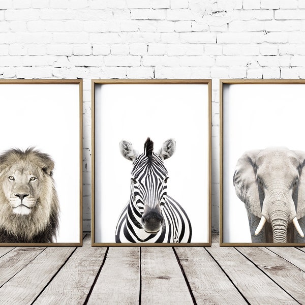 Safari Wall Art Etsy