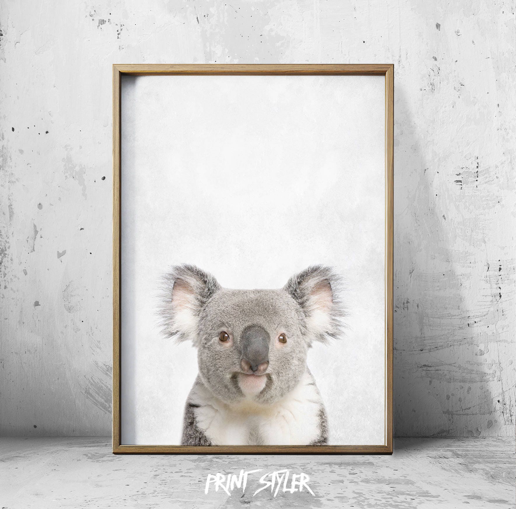 Koala Bear Koala Print Bear Poster Kaola Art Animal Print Etsy