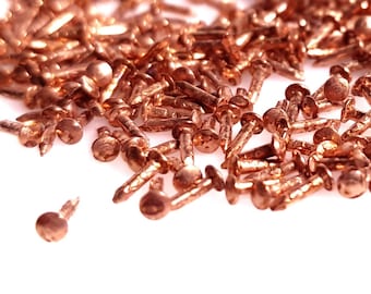 300 Stück 5 mm lange, kupferbeschichtete Rosetten-Pins, kleine Nägel, PA45
