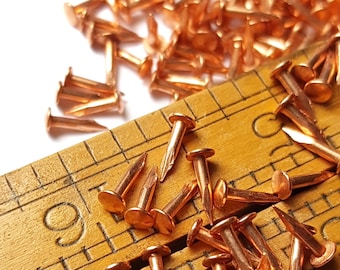 Szpilki do tarcz herbowych, gwoździe, ćwieki miedziane. 200 szt., długość 8-13 mm, G17 (trzpień 1,4 mm) PE1