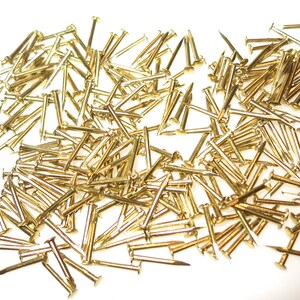 Puede incluir: Un mont&oacute;n grande de tachuelas o clavos de tapicer&iacute;a de color dorado. Las tachuelas est&aacute;n esparcidas sobre una superficie blanca.