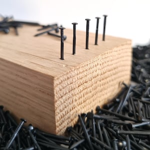 300 st små svarta spikar #19 (fi 1,0) 3/16" - 5/8" (5 - 16 mm långa) svartbelagda nålar för snörkonst, miniatyrer, trähantverk, smycken PA5