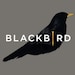 Blackbird Nails Shop