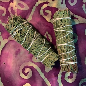Cedar Smudge, Cedar Wood, Smoke Cleansing, Smudging, Prosperity Smudge, Abalone Shell