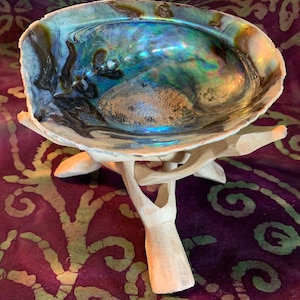 5&quot; - 6&quot; Wood Cobra Shell Stand, Abalone Shell, Smudge Bowl, Sea Shell, Ash Catcher, Water Element, House Smudging