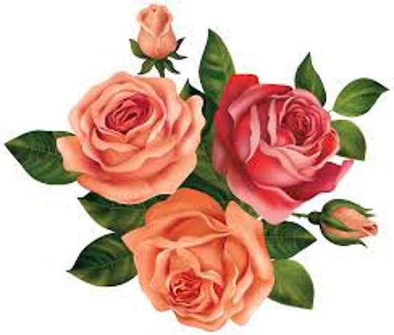 Simply Earth  Rose Petals : 1oz