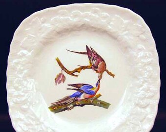 Audubon\u2019s Birds of America White Crowned Sparrow cream soup saucer by Alfred Meakin