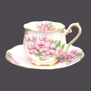 Vintage Royal Albert Bone China Cup and Saucer set: Pink Periwinkles, England