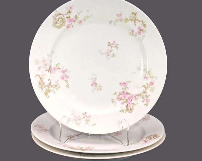 Three almost antique Theodore Haviland Limoges Schleiger 29A Pink Spray | Lucille-like dinner plates.