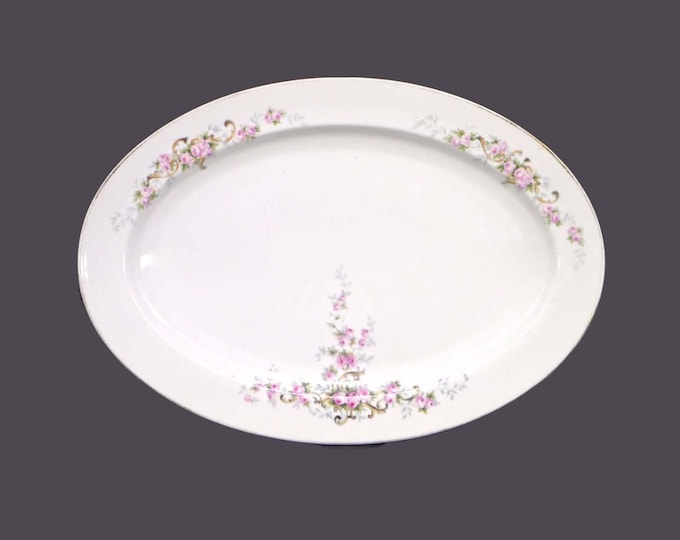 Paul Muller MUE39 oval turkey platter made in Bavaria.