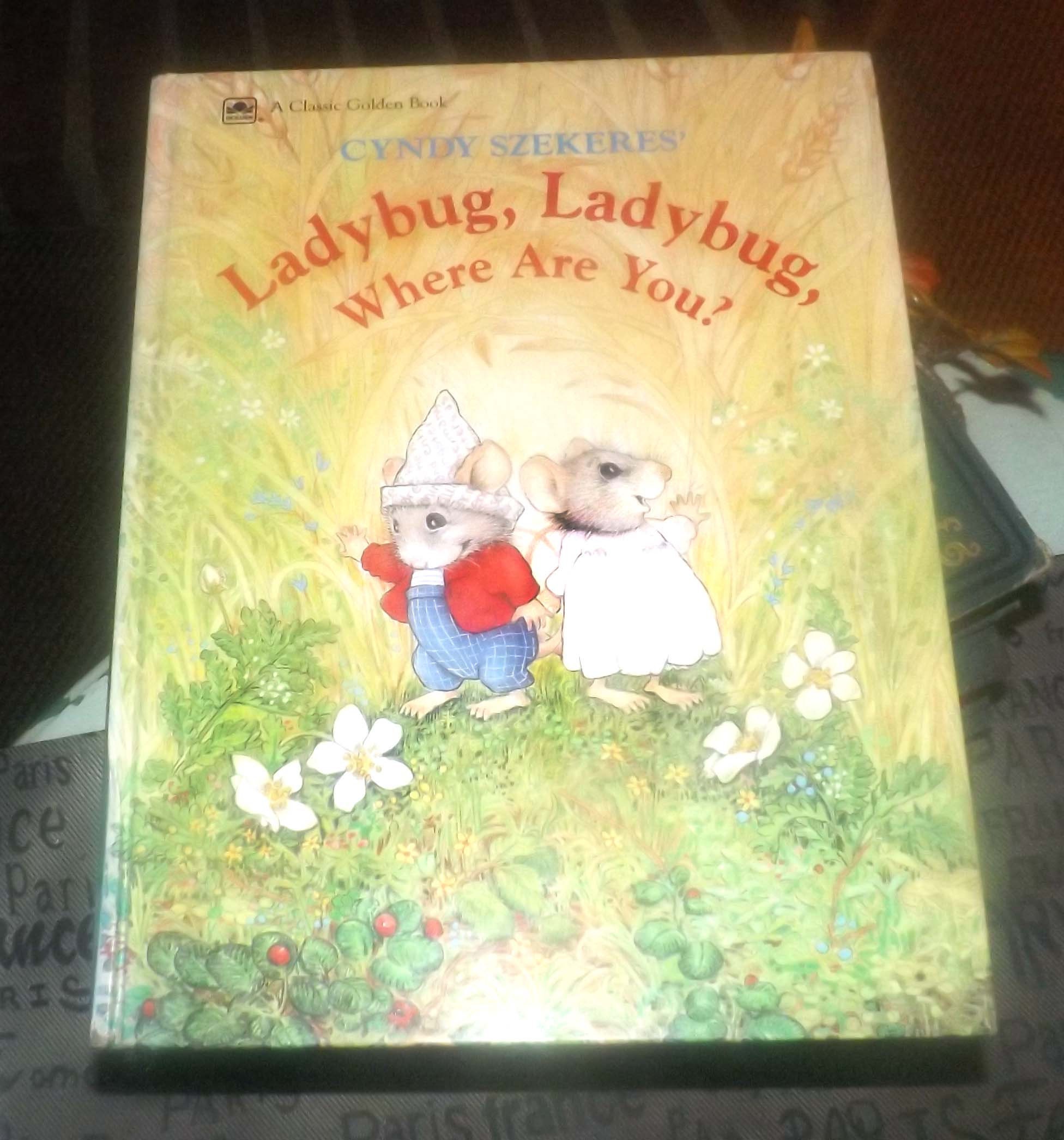 Vintage (1991) hardcover children's book Ladybug, Ladybug, Where Are