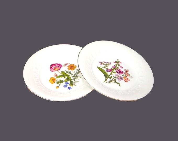 Pair of Josef Kuba Weisau JKW39 salad or dessert plates. Multicolor florals, butterflies. Made in Bavaria.