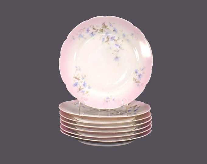 Seven antique Victorian-era numbered porcelain dessert plates. Graduated pink, blue florals.