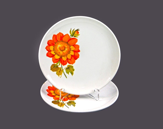 Pair of retro Barker Brothers Sunnyside bread plates. Royal Tudor Ware ironstone made in England. Flaw (see below)