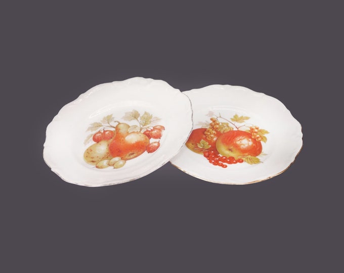 Pair of Winterling WIG224 Roslau dessert or side plates made in West Germany. Central Bavarian fruit.