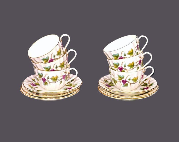 Six Royal Worcester Bacchanal White Z2822 cup and saucer sets. Bone china made in England.