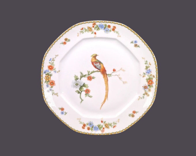 Antique Altrohlau | MZ Austria | Zdekauer Golden Pheasant dinner plate. Flaw (see below).
