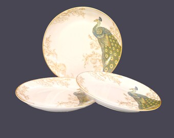 Vintage 222 Fifth Serene Peacock dinner plates made in Indonesia. Set of 3