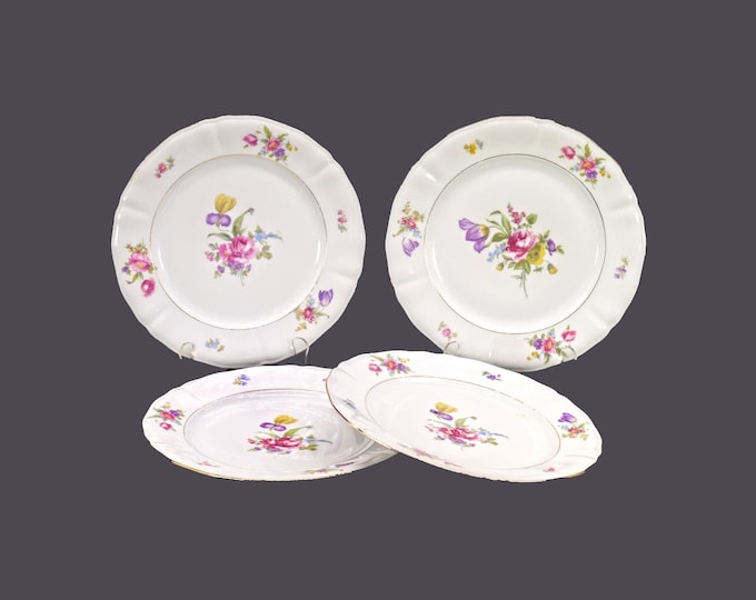Winterling Schwarzenbach WIG34 dinner plates made in Germany US Zone. Multi-motif Dresden flowers. Choose quantity below.